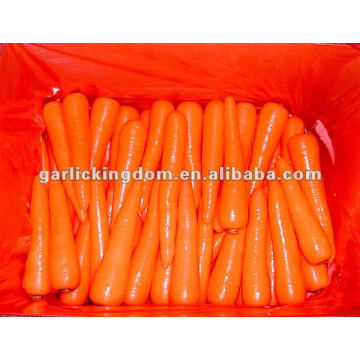 Mejor Precio zanahoria / Nuevo Crop Fresh Carrot